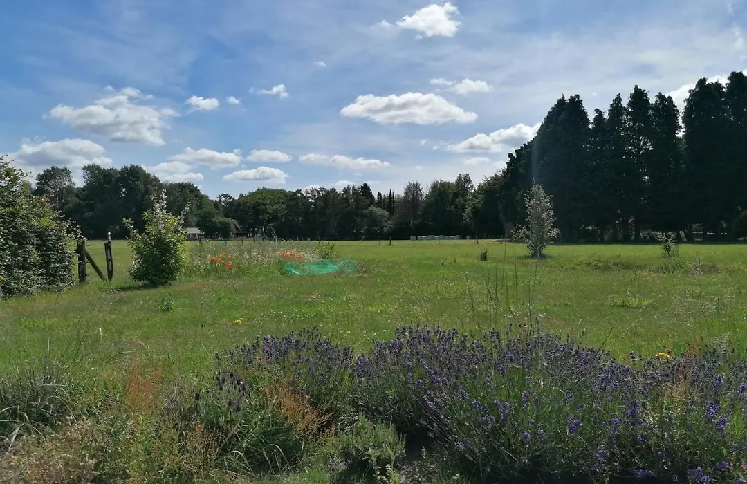 B&B Speulderveld-1