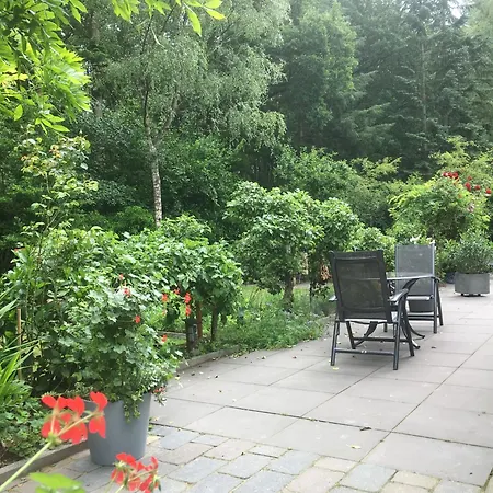 B&B Porcini-3